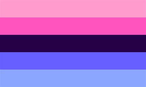 omni sexuality flag|What Is The Omnisexual Pride Flag, And What Does。